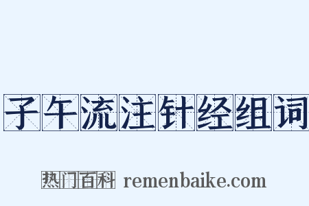 子午流注针经组词是什么意思的图片